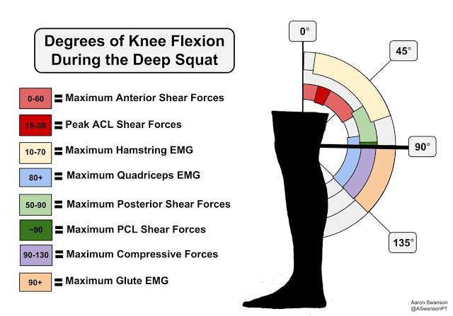(Source: http://www.aaronswansonpt.com)